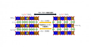 最終値下げ♪ガン患者が最後に選んだ「免疫食」! 90131-94-