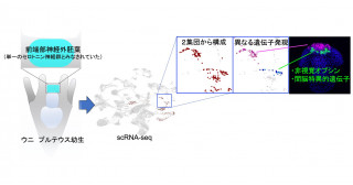 最新の研究成果を知る | 京都大学