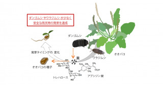 最新の研究成果を知る | 京都大学