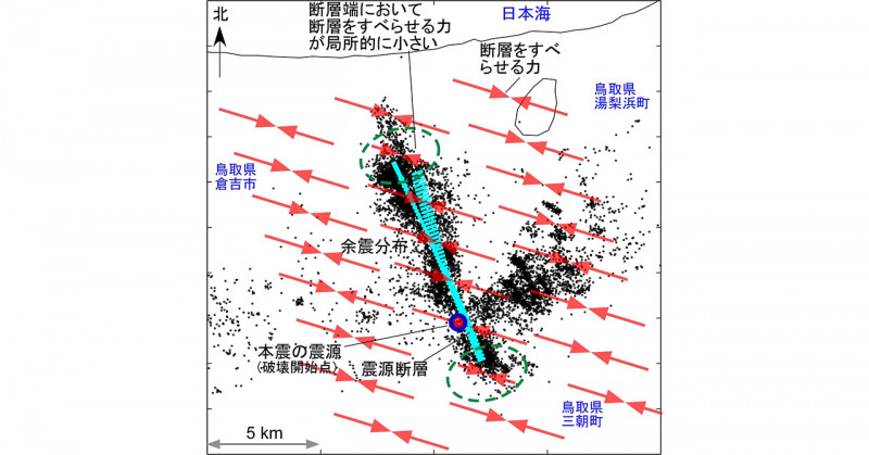 修飾塩基を含む合成メッセンジャーRNAからの遺伝子発現を 光により制御するシステムの開発に成功
