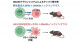 必要な時だけ標的タンパク質を壊すがん治療―薬剤投与によるマウス内在性PD-1の分解―