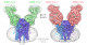 新型コロナウイルスのウイルス形成に必須の膜タンパク質の構造を解明