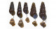 琵琶湖から現生カワニナの3新種を発見―古代湖における巻貝の種多様性を再評価―
