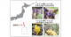ハマウツボ属植物で初めて鳥による訪花を観察―小笠原諸島における送粉生態系の進化―