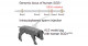 Modeling amyotrophic lateral sclerosis (ALS) in pigs -Developing a new experimental platform to test ALS gene and cell therapies-