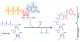 Development of a versatile method to synthesize functional mRNAs with diverse 5' cap structures