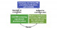 Questionable practices identified by an examination of therapeutic plan reviews performed by certified committees under the Act on the Safety of Regenerative Medicine