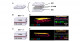 新型コロナウイルス感染症（COVID-19）研究のための肝臓チップの開発～肝障害の病態解明と治療薬の評価～