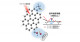動的核偏極磁気共鳴法による炭素材料表面の微細構造の解析に世界で初めて成功－次世代の炭素材料の開発と利用促進に貢献－