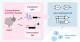 Establishing the basis for mammalian intracellular computing with mRNA switches