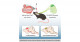 Combining cell transplantation and gene therapy to enhance axonal outgrowth in the central nervous system