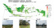 インドネシア全土20年間の植生指数の変化―地球環境問題への示唆―