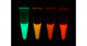 緑を赤へ―緑色蛍光蛋白質を赤色に変えることに成功―