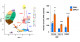 Linking H1FOO to better iPS cell generation