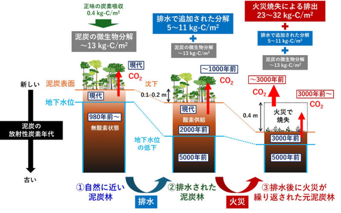 2605-main-ito.jpg 