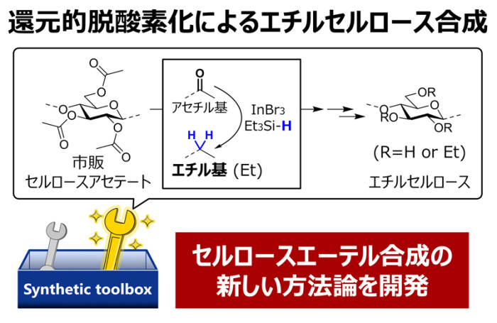 セルロース誘導体を合成する新戦略―金属触媒による還元的脱酸素化―