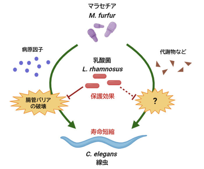 2609-main-Nakadai.jpg