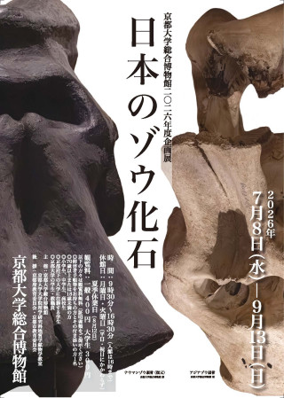 京都大学総合博物館2026年度企画展「日本のゾウ化石」2026年7月8日～9月13日開催