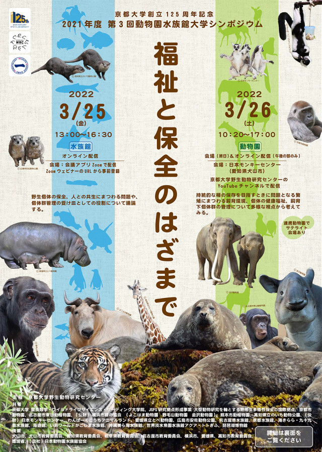 記事イメージ