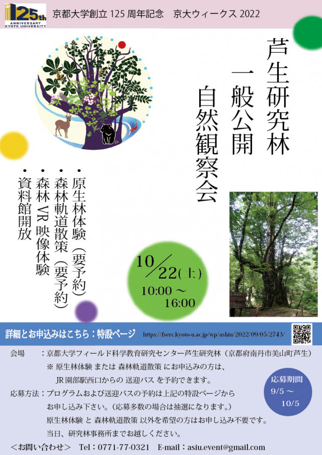 記事イメージ