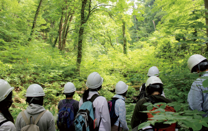 Observation tour at the Ashiu Forest Research Station