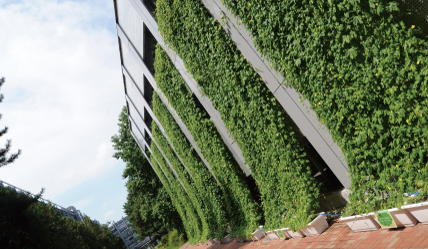A "green wall," which contributes to the reduction of building temperature and energy conservation